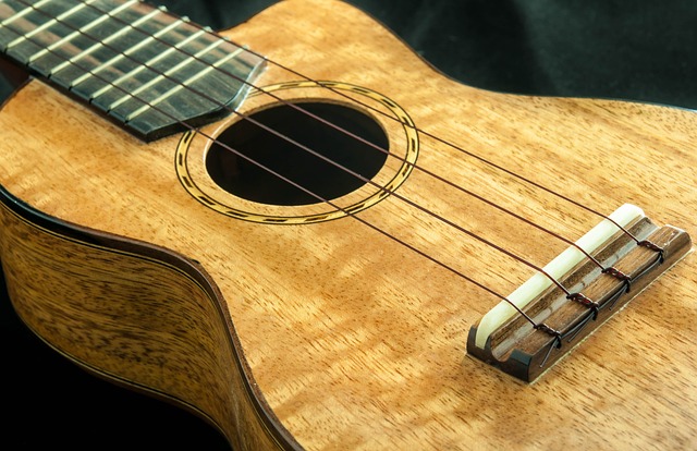 guitar-5441287_640 Ukulele