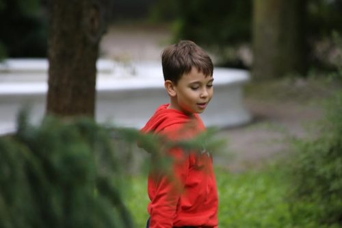 img 3730